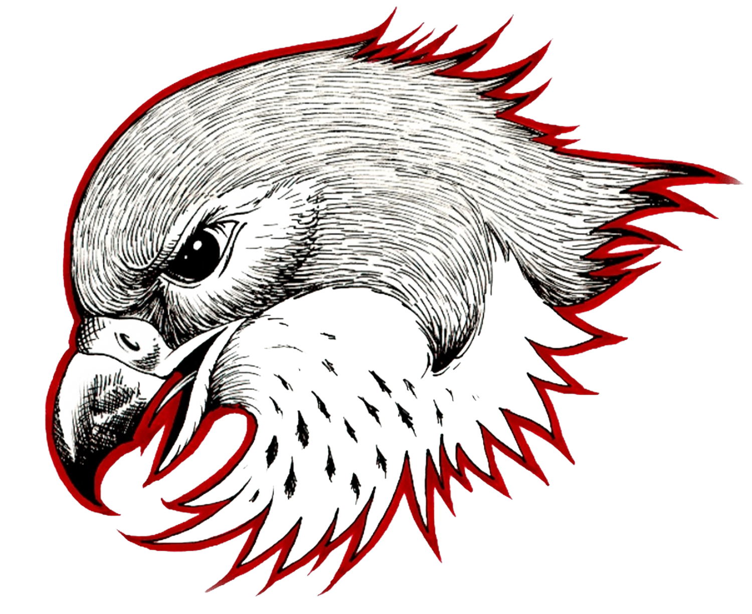 Fenelon Falls Senior Secondary (FHSS)