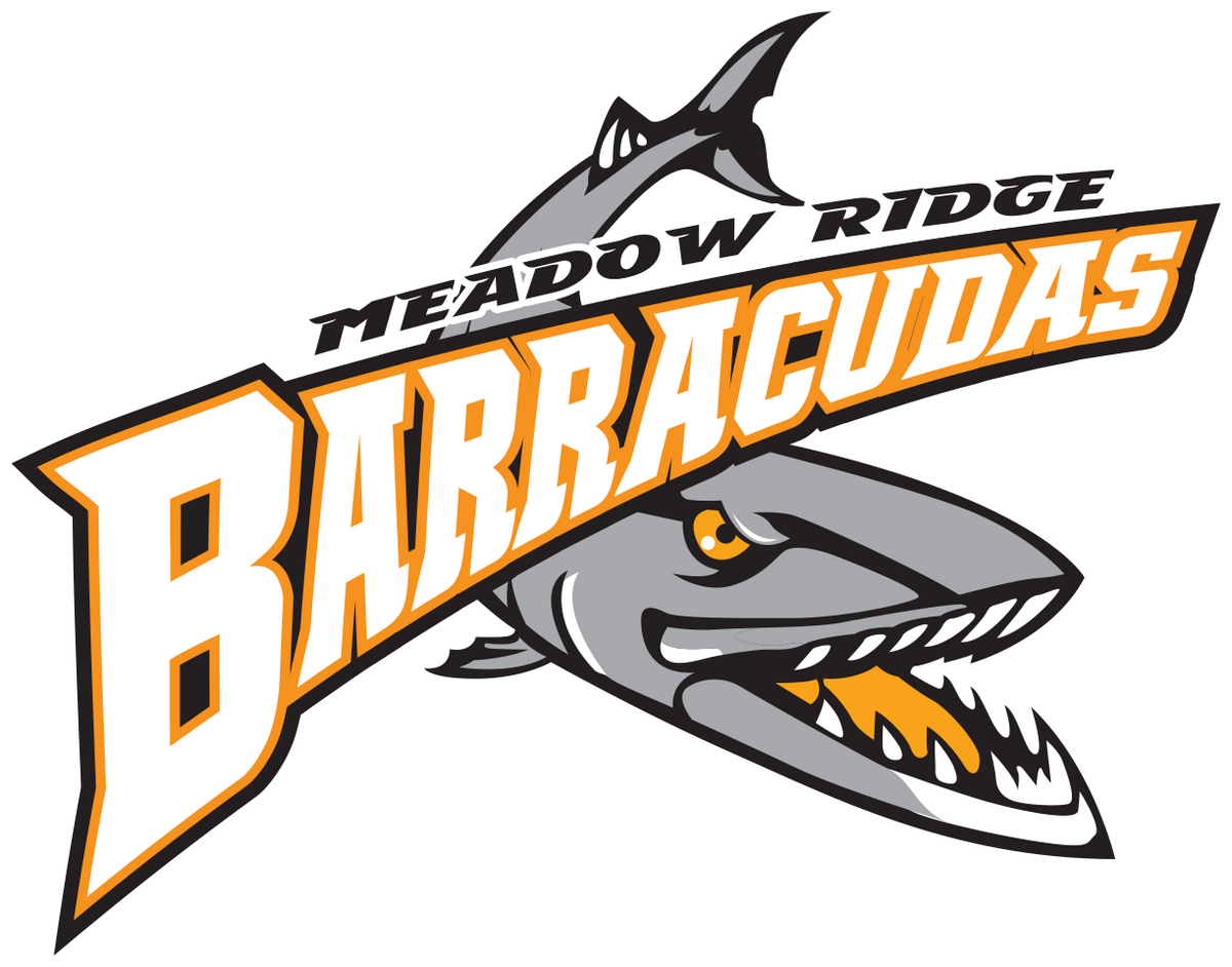 BARRACUDAS