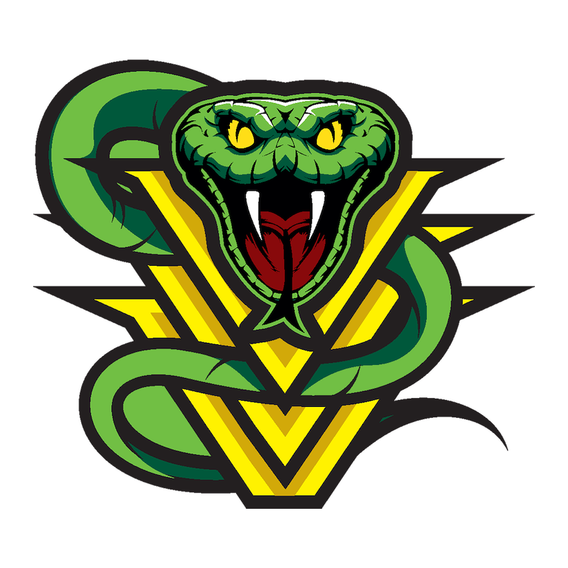 VIPERS
