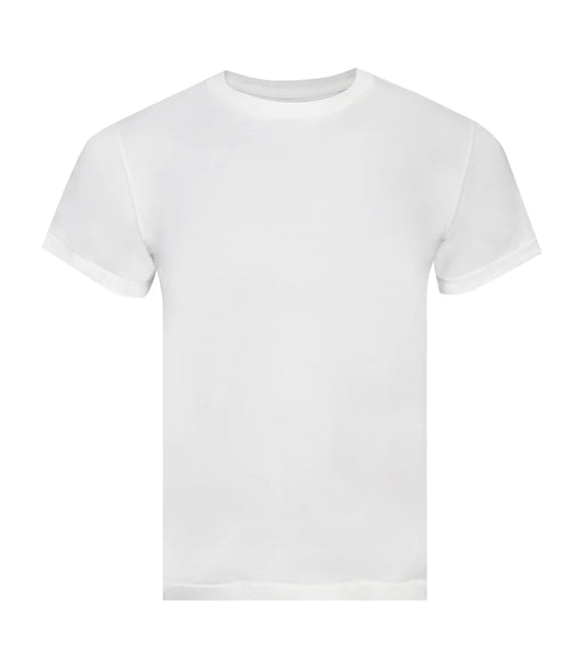 Hanes ComfortSoft T-Shirt