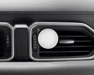 Car Vent Clip Air Fresheners