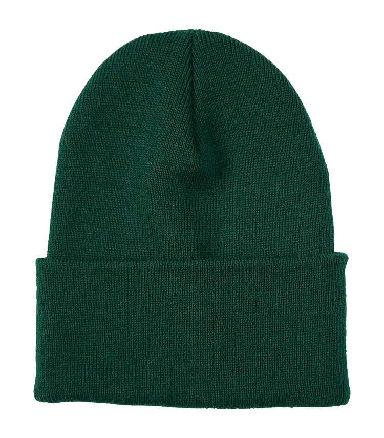 ATC EVERYDAY KNIT CUFF TOQUE (C100) - Athleticgrn